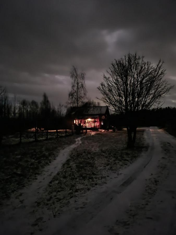 Musketeers Cabin Порумбаку-де-Сус Экстерьер фото