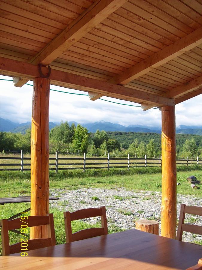 Musketeers Cabin Порумбаку-де-Сус Экстерьер фото