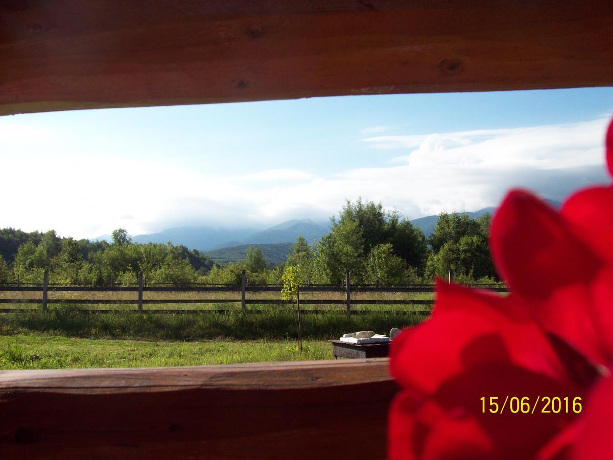 Musketeers Cabin Порумбаку-де-Сус Экстерьер фото