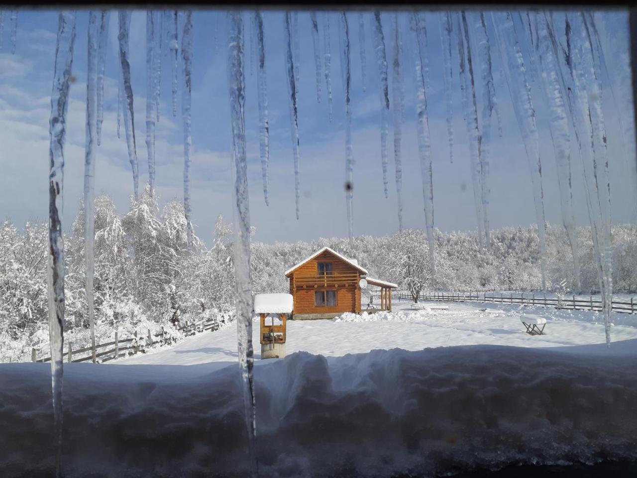 Musketeers Cabin Порумбаку-де-Сус Экстерьер фото